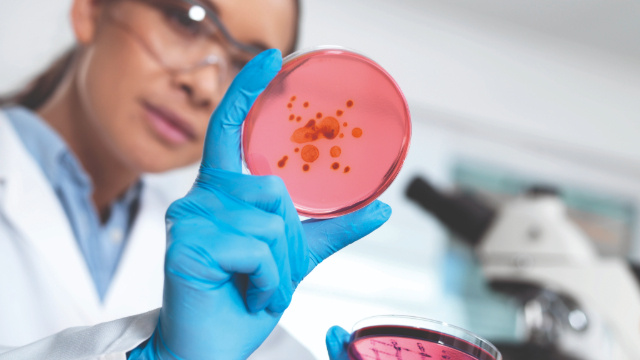 Scientist holding petri dish