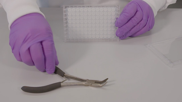 How to Remove the Underdrain of the MultiScreen<sup>®</sup><sub>HTS</sub> Filter Plate