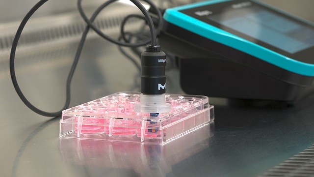 Millicell<sup>®</sup> ERS 3.0 – How-to-use Video Series – Chapter 3: Resistance Measurement Workflow Millicell<sup>®</sup> ERS 3.0 – How-to-use Video Series – Chapter 3: Resistance Measurement Workflow