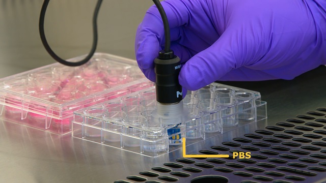 Millicell<sup>®</sup> ERS 3.0 – How-to-use Video Series – Chapter 5: Proper Electrode Cleaning and Storage Millicell<sup>®</sup> ERS 3.0 – How-to-use Video Series – Chapter 5: Proper Electrode Cleaning and Storage