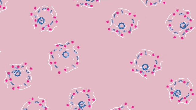 <p>Efficient DNA Clearance</p>
Illustration of DNA strands undergoing efficient clearance, surrounded by pink molecules against a light purple backdrop, symbolizing advanced molecular biology techniques.