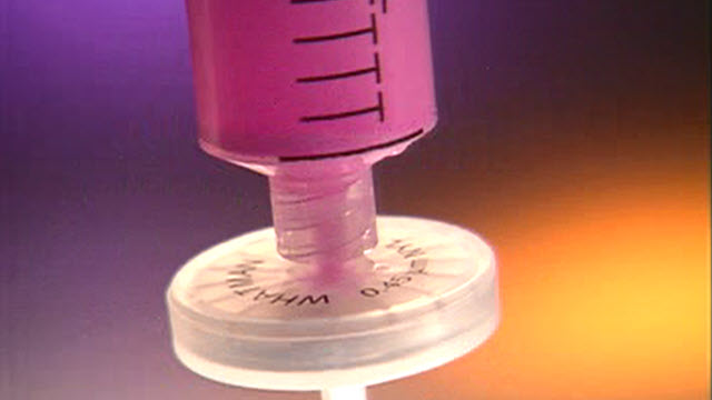 Whatman<sup>®</sup> GD/X Syringe Filters Whatman<sup>®</sup> GD/X Syringe Filters