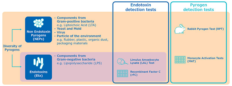 Q&A Pyrogen Testing QA Pyrogen Testing