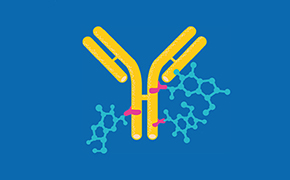 merck fair biology