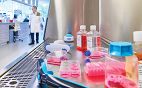 ADVANCE CELL CULTURE 