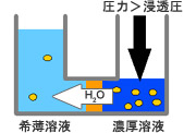 逆浸透 逆浸透