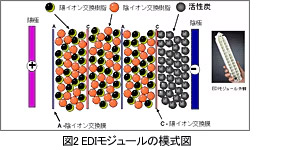 図2 EDIモジュールの模式図