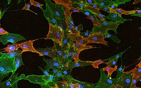 bio-learningcenter01.jpg bio-learningcenter01.jpg
