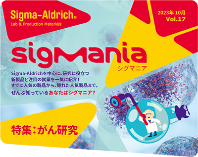 情報誌 SigMania Vol.17 情報誌 SigMania Vol.17