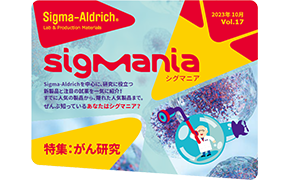 情報誌 SigMania vol.17 情報誌 SigMania Vol.17