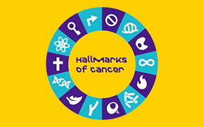 Hallmarks of Cancer: New Dimensions SigMania Vol.17 Hallmarks of Cancer: New Dimensions