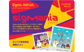 情報誌 SigMania Vol.11 情報誌 SigMania Vol.11