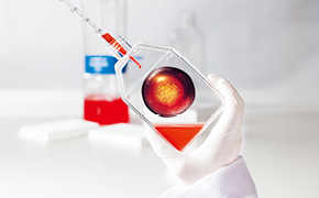 Basic knowledge for cell culture
