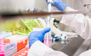 Protocols and basic knowledge for cell culture