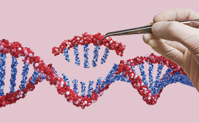 Gene editing tools/functional genomics products - How to order in Japan