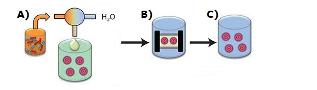 ミセルへの薬物の充填方法におけるフラッシュナノ沈殿法 の概要 ミセルへの薬物の充填方法におけるフラッシュナノ沈殿法 の概要