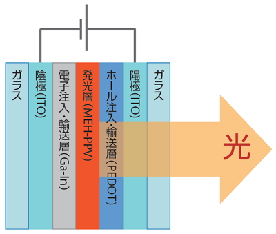 実験教室で作成した高分子有機EL素子の構造