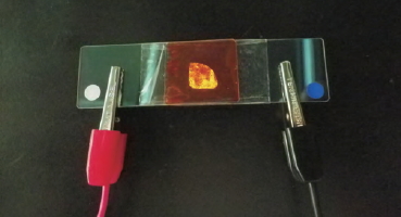 高分子有機EL素子の発光