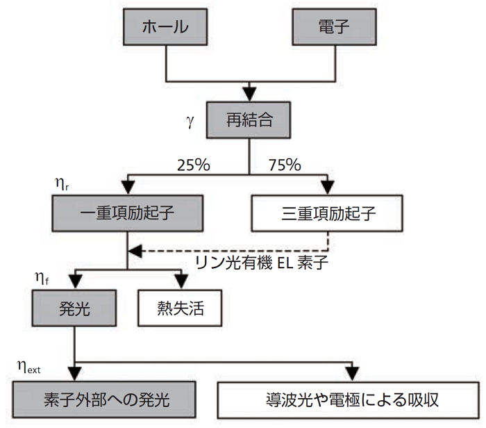 有機ELの素過程