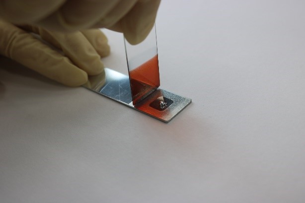 有機活性層を電子輸送層に重ねる作業 有機活性層を電子輸送層に重ねる作業