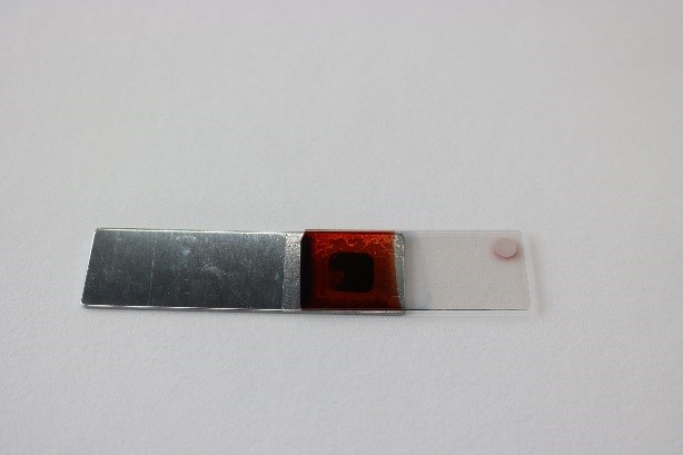 完成品の写真 完成品の写真