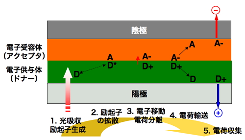 OPV光電変換メカニズム OPV光電変換メカニズム