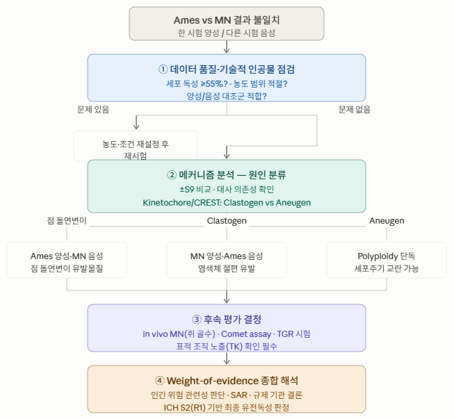 그림 1. Ames vs Micronucleus 불일치 해석 4단계 의사결정 워크플로우 (ICH S2(R1) 기반)