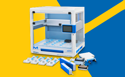 Bris-Tris Precast Gel & Buffer  Bundle