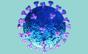 U.S. CDC & Charité Primer and Probe Mixes for SARS-CoV-2 detection