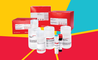 Metabolic Analysis Kit