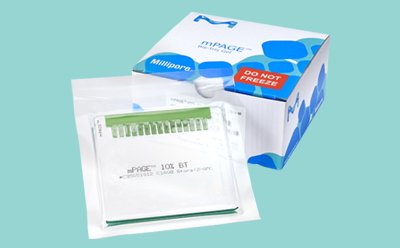 mPAGE® Bis-Tris precast gels and TurboMix™ Bis-Tris Gel Casting Kits