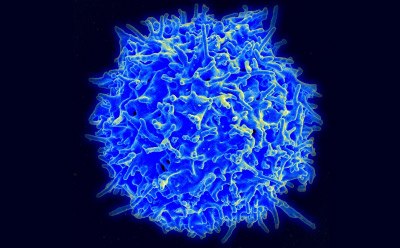 3D image of cell blue 3D image of cell blue