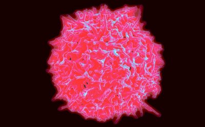 3d cell image pink 3d cell image pink