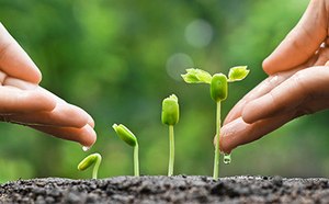 Starter Kit for New Biotech Start-up Starter Kit for New Biotech Start-up