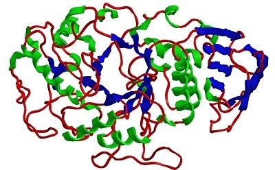 Large molecule HPLC HPLC de moléculas grandes
