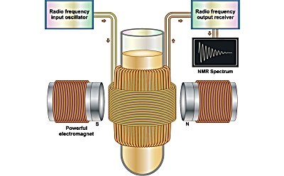 Nuclear magnetic resonance diagram Diagrama de resonancia magnética nuclear que ilustra cómo el espectro de RMN se basa en la interacción de los estados de espín nuclear con un potente campo magnético.