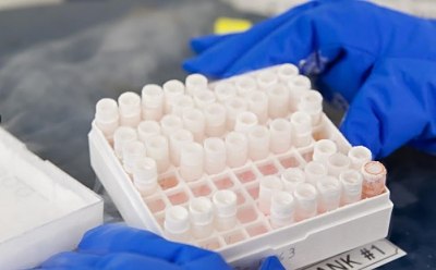 Cell Line Misidentification Cell Line Misidentification