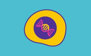 Ilustración que muestra una célula estilizada con una hélice de ADN en el centro rodeada por un círculo morado y un anillo amarillo, sobre un fondo azulado. Debajo aparece el texto ‘Cell Lines &amp; Expression Technologies.