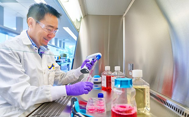 Scientist Performing Cell Culture Análisis de cultivos celulares