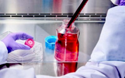 Científico con bata de laboratorio y guantes pipeteando un líquido rojo en un matraz en un entorno experimental. Científico con bata de laboratorio y guantes pipeteando un líquido rojo en un matraz en un entorno experimental.