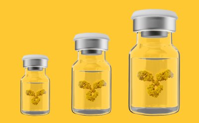 Three glass vials of varying sizes containing a yellow antibody structure, set against a bright yellow background, illustrating in an abstract way the scale-up of biopharmaceutical drug manufacturing.
