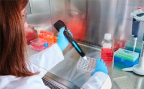 Scientist counting cells using an automated handheld Coulter counter Científica contando células mediante un contador Coulter automático portátil
