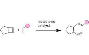 Met&aacute;tesis