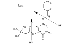 Side-chain protecting groups for Boc solid-phase peptide synthesis (SPPS) Side-chain protecting groups for solid-phase peptide synthesis (SPPS) are often chosen so as to be cleaved simultaneously with detachment of the peptide from the resin.