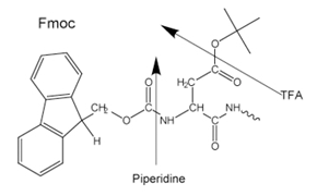 Side-chain protecting groups for Fmoc solid-phase peptide synthesis (SPPS) Side-chain protecting groups for solid-phase peptide synthesis (SPPS) are often chosen so as to be cleaved simultaneously with detachment of the peptide from the resin.