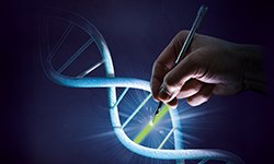Genome editing techniques Genome editing techniques