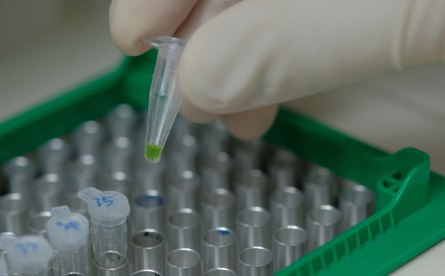 Applications de PCR