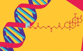 Nucleic Acid Labeling and Detection Métodos y protocolos de marcaje y detección del ADN y el ARN