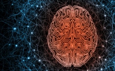 Cerebro ilustrado como chip electrónico rodeado por un sistema neuronal para mostrar la combinación de tecnología de vanguardia con bioorganismos. Cerebro ilustrado como chip electrónico rodeado por un sistema neuronal para mostrar la combinación de tecnología de vanguardia con bioorganismos.