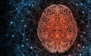 Bioelectronics